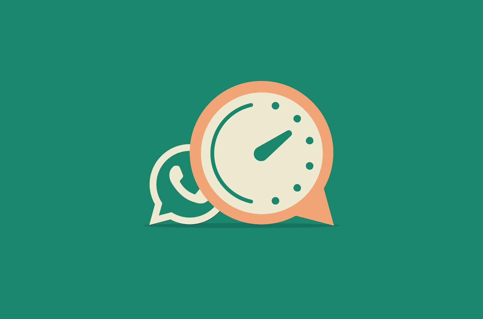 WhatsApp Account Management